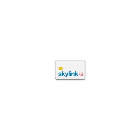 Skylink Multi RAM 