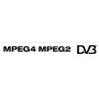 PCMCIA DVB Viaccess CI MPEG2/4 Professional