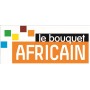 Decodeur IPTV du bouquet africain