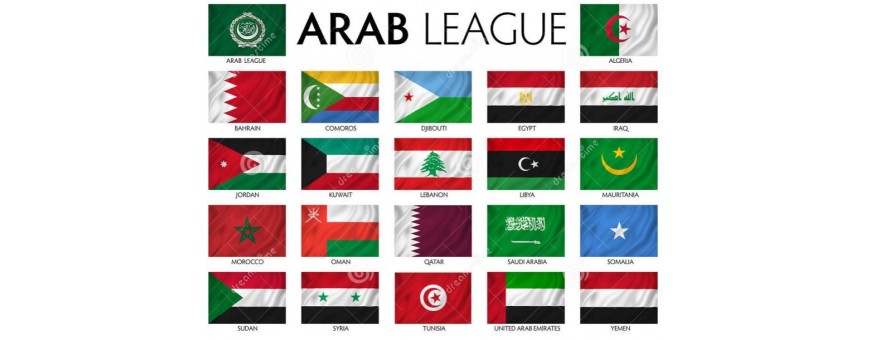 Arabic, Saudi TV