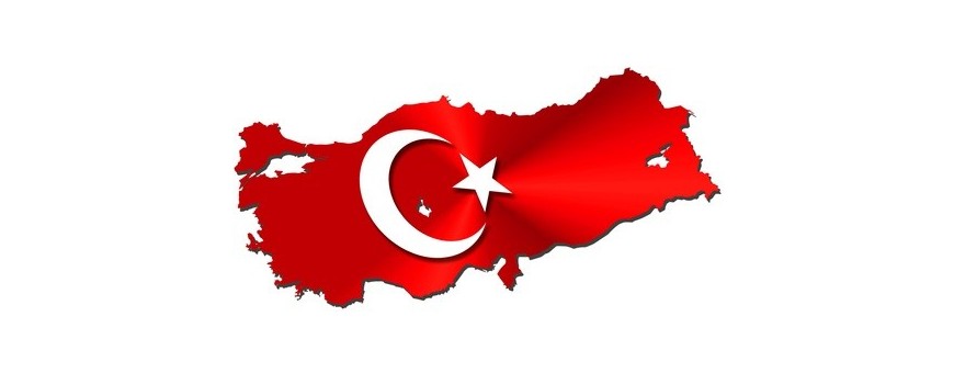 TV Türkisch, Türkei