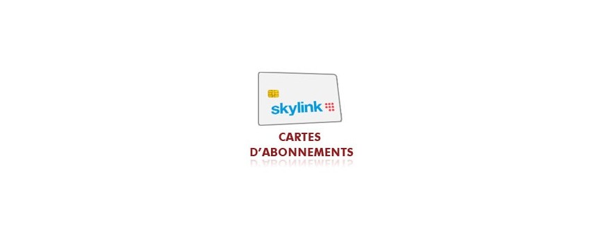 Abonnement Skylink Multi 12 mois 