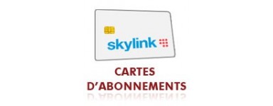 Abonnement Skylink Multi 12 mois 