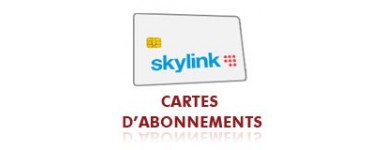 Abonnement Skylink Multi 12 mois 