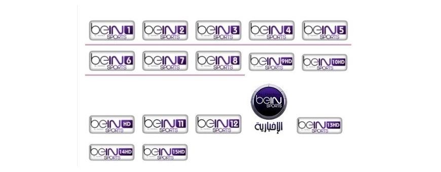 Bein esports Saudita