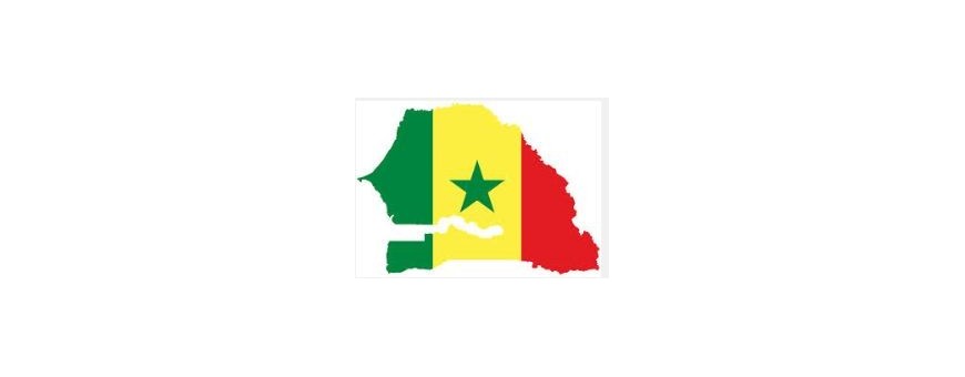 TV Senegalesen, Senegal