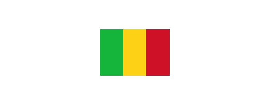 TV Mali, Mali