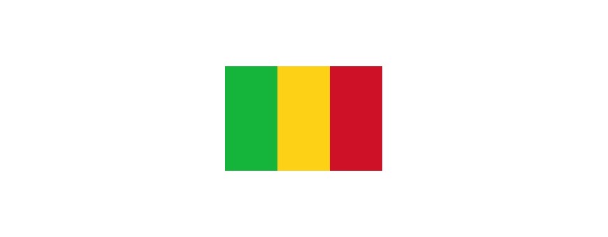 Tv Malienne, Mali