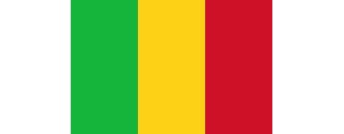 Телевидение Мали, Мали