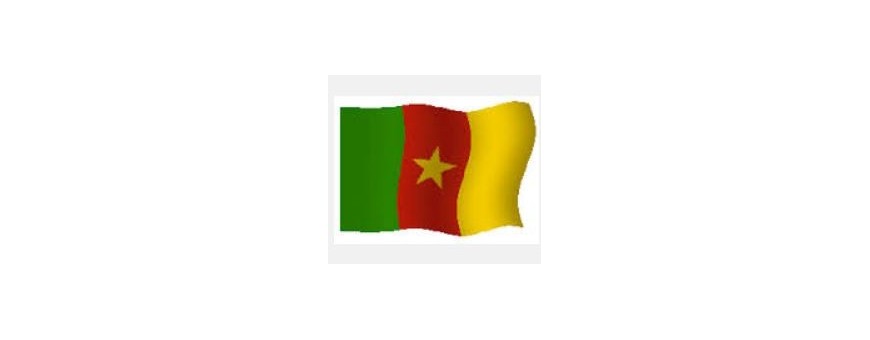 TV Cameroon - Camerun