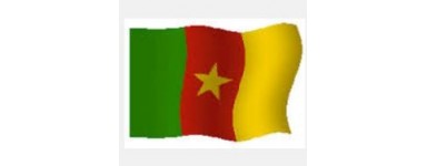 TV Cameroon - Camerun