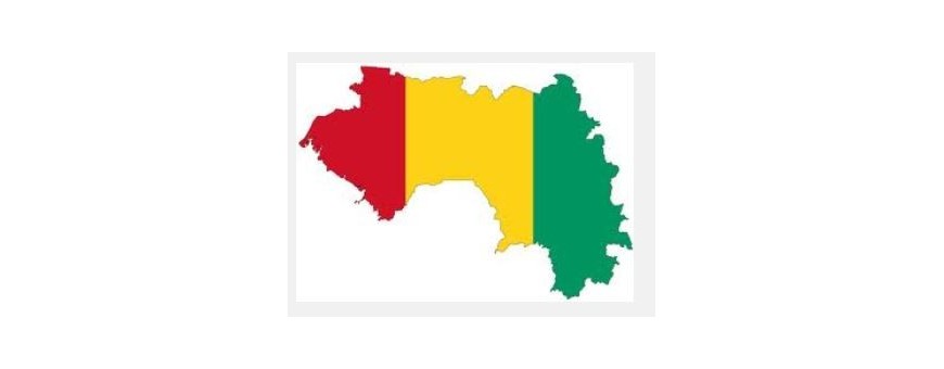 Tv Guinéens - Guinée