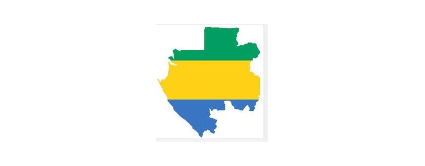 TV-Gabon - Gabon