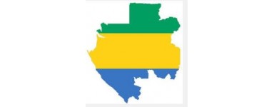 TV-Gabon - Gabon