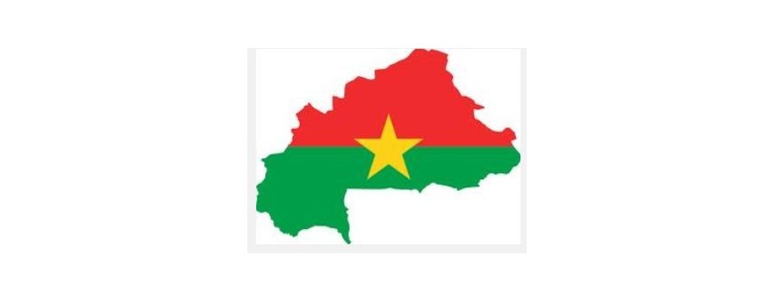 TV Burkina Faso 