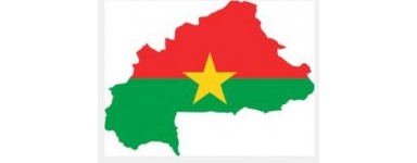 TV Burkina Faso 