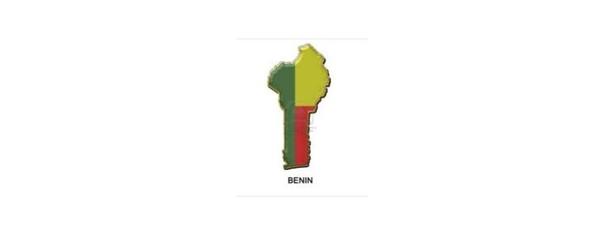 TV Бенин - Бенин
