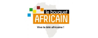 TV canals Bouquet africà