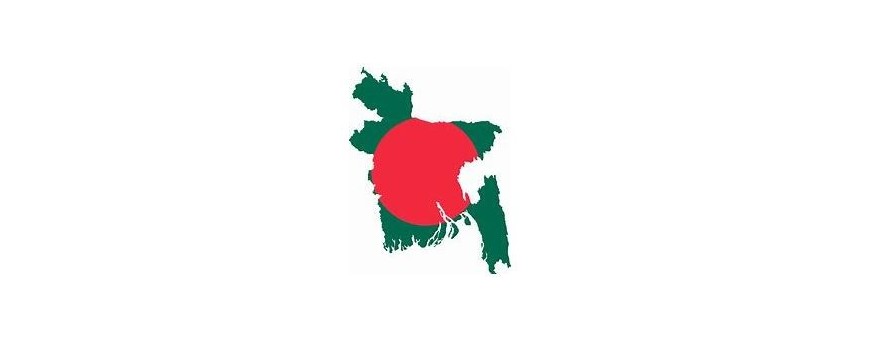 TV Bangla, Bangla Desh