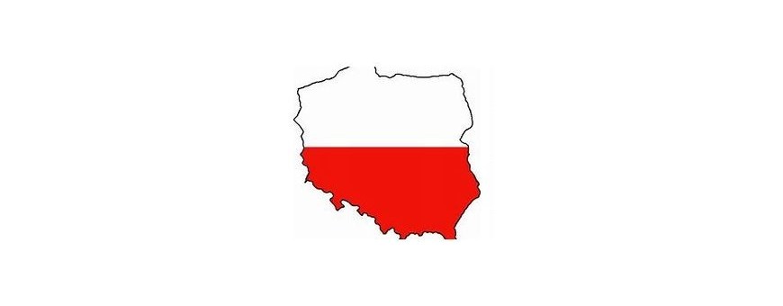 Польское телевидение