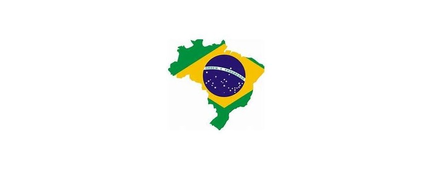 Brasil, Brasil TV