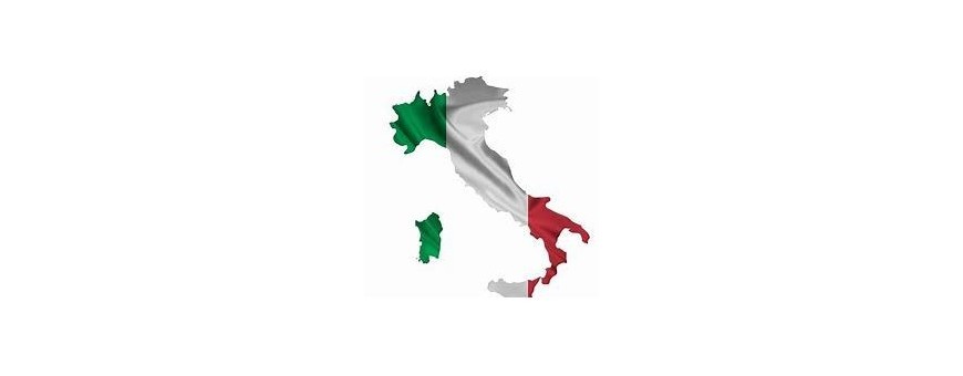 TV italià, Itàlia