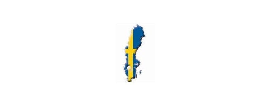 TV sueca, Suecia